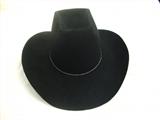 BRAND NEW, NEVER WORN 4X BEAVER TEXAS HAT & BOX.