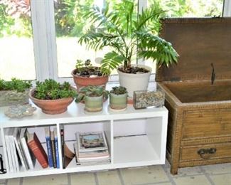 EXCELLENT LOW SHELVING, LIVE PLANTS, CHEST