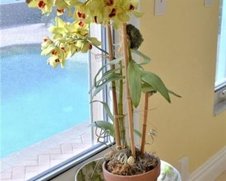 BRIGHT YELLOW SILK ORCHID