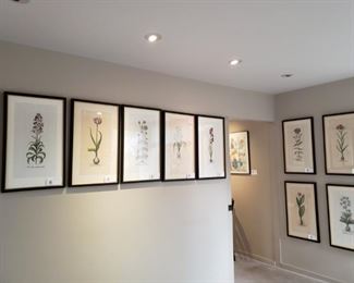 Fabulously framed botanicals ten in all!