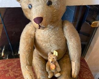 Steiff pre World war II bear valued by antiques appraiser at $800. Asking $660
