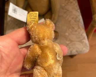 back of baby bear