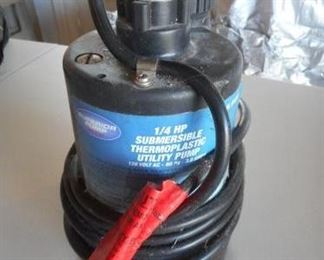 Submersible utility pump 1/4 HP + siphon pump kit https://ctbids.com/#!/description/share/341280