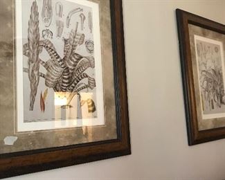 Nice botanical prints