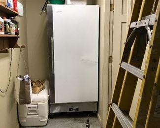 Good freezer, metal ladder