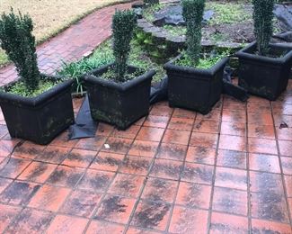 Stately square concrete pots