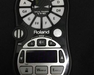 GGG083 Roland VT-12 Vocal Trainer