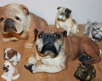 Mississippi State fans and George fans!  