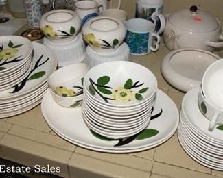 Vintage Dexie Dogwood Pattern Dinnerware Set
