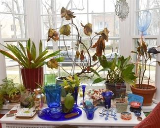 House Plants, Cobalt Blue Glassware, Vases & Planters