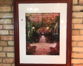 $25.00 Artist signed autumnal photo in mat and frame 