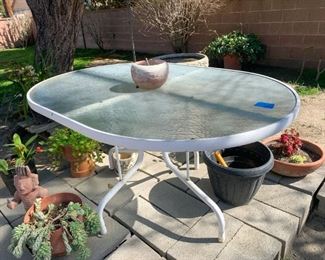 Plants and pots not for sale