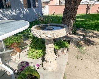 Plants and pots not for sale