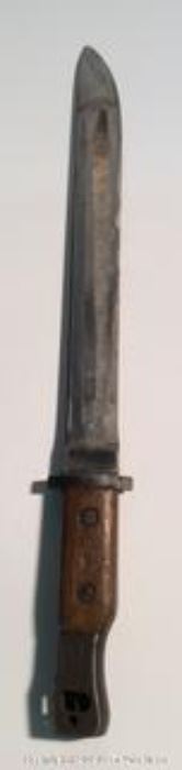 wIMG7602 t