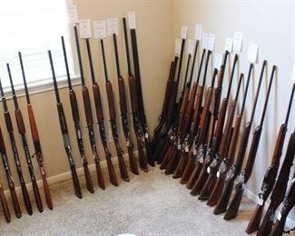 Guns, guns, and more guns