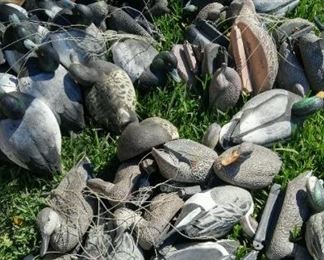 Decoys galore