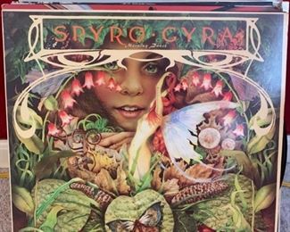 record collection $500--there are many more not photographed 