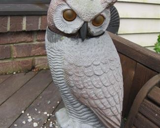 owl