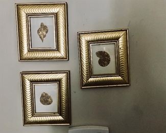 Set of 4 Framed Gold Shells -- $20 (1 not hanging)