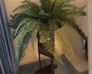 Fern stand 