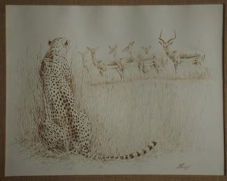 ORIGINAL GRAPHITE PENCIL DRAWINGS OF CHEETAHS IN THE WILD  $150.00