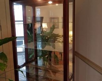 lighted glass curio cabinet, very heavy, bring moving/loading help