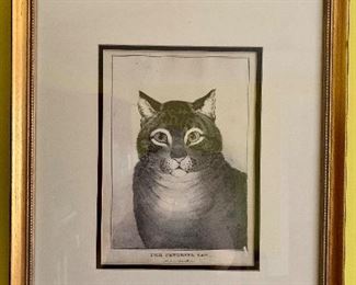 Framed favorite cat.