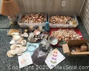 Very large lot of shells, including sand dollars, shark teeth, fossils, unpolished rocks