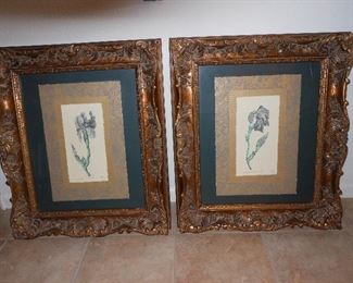 Beautifully framed pictures