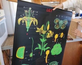 CLASSROOM LEARNING ON VINYL