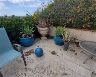 lots of gorgeous potted plants and urns
