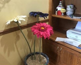 Pretty flowers in a pot