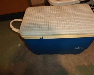PLL 368 Cooler @ $5