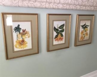 Three yellow floral framed prints 