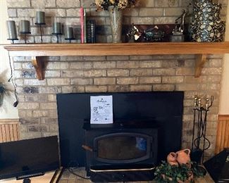 Fireplace insert 