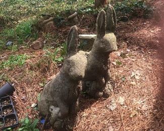 Lott's rabbit domino effect