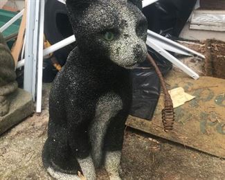 Cat absolutely not having it AT ALL