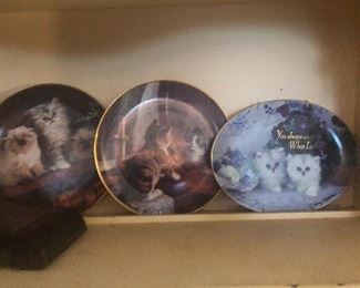 Kittens trapped in another dimension