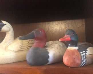 "Do you see that swan next to me? Or am I hallucinating?"