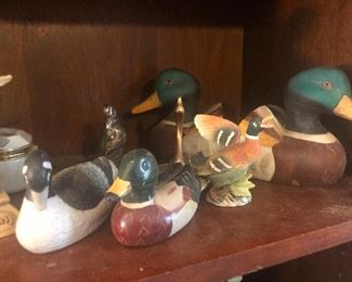 It's like a swarm of ducks