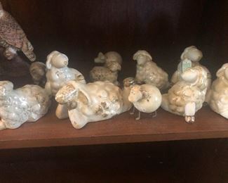 turtle hatchlings. Shuddup