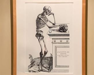 Lot #233 - $60 - Wood Framed & Matted Human Skeleton / Skull Print / Poster (Latin)