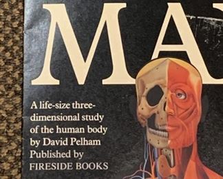 Dimensional Man Anatomical Study