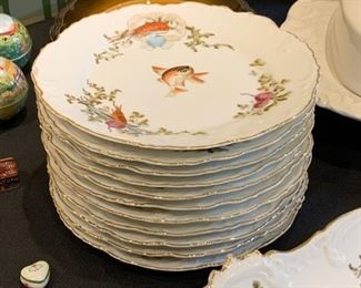 (view of the fish plates)