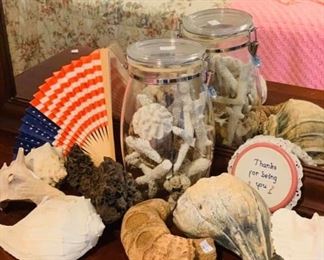 Collection of Seashells $25