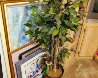 Pictures, Painting and Plants