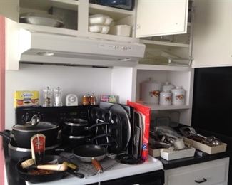 Pots & Pans & Lodge Cast iron Skillet