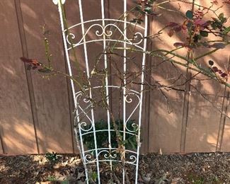 FLOWER TRELLIS