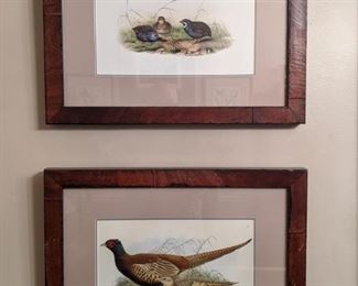 One each of a pair of nicely framed/matted pheasant & quail lithographs. 