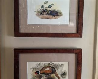 Here's the other pair. No, the pheasant isn't drunk or hung upside down - I checked to make certain!